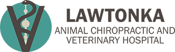 Lawtonka Animal Chiropractic Veterinary Hospital